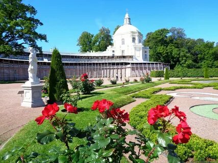 Экскурсия в ораниенбаум из санкт петербурга