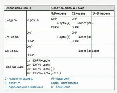 Обязательно ли делать прививки собакам