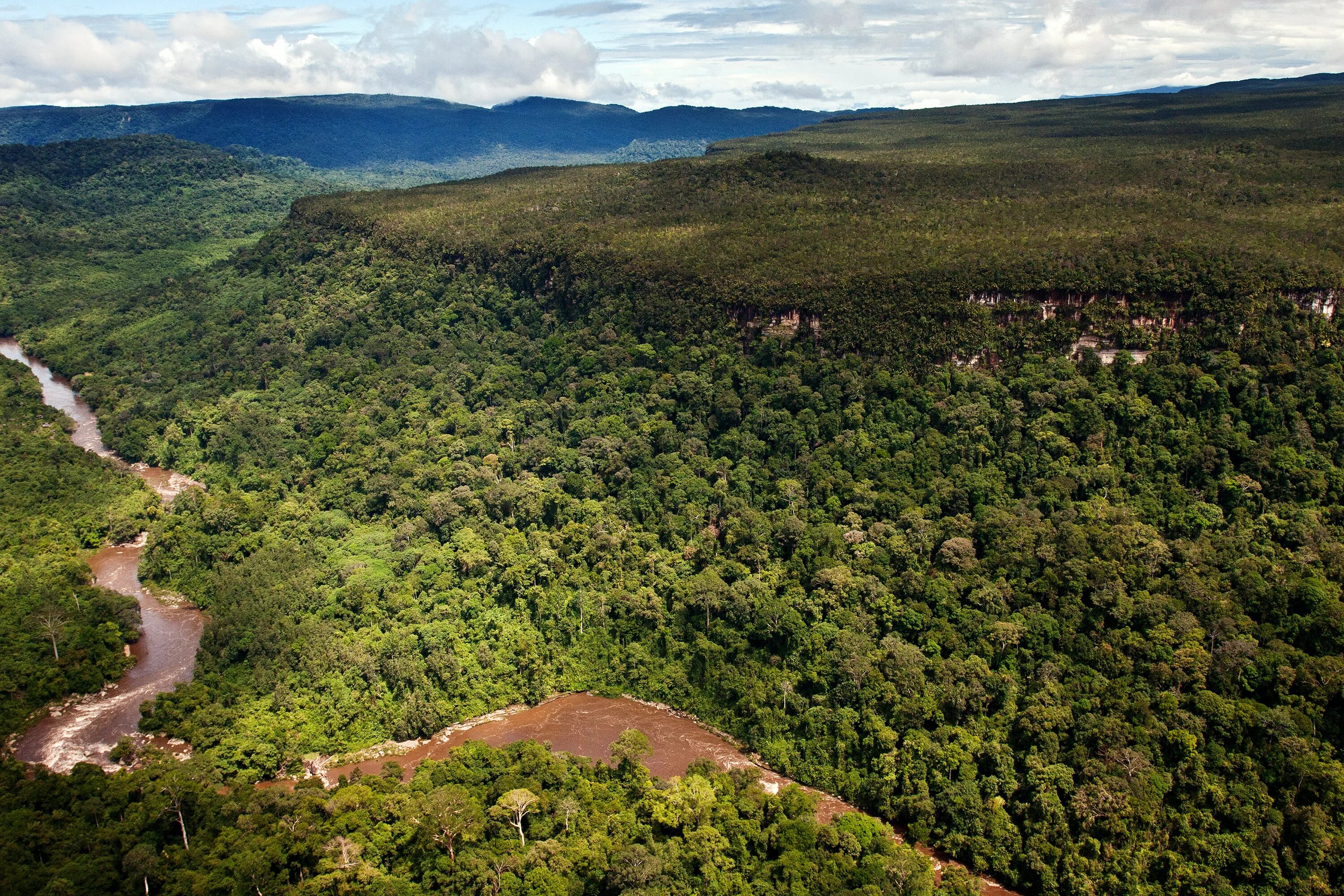 Amazon borneo congo. Джунгли Борнео Индонезия. Калимантан джунгли. Леса Суматры. Индонезия тропические леса Суматры.