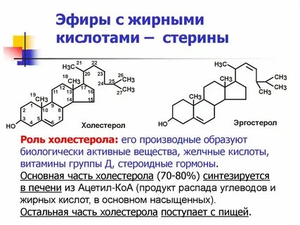 Стерины