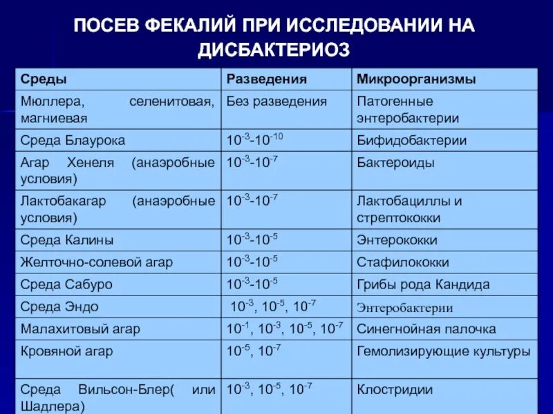 Кишечная палочка в моче 10 в