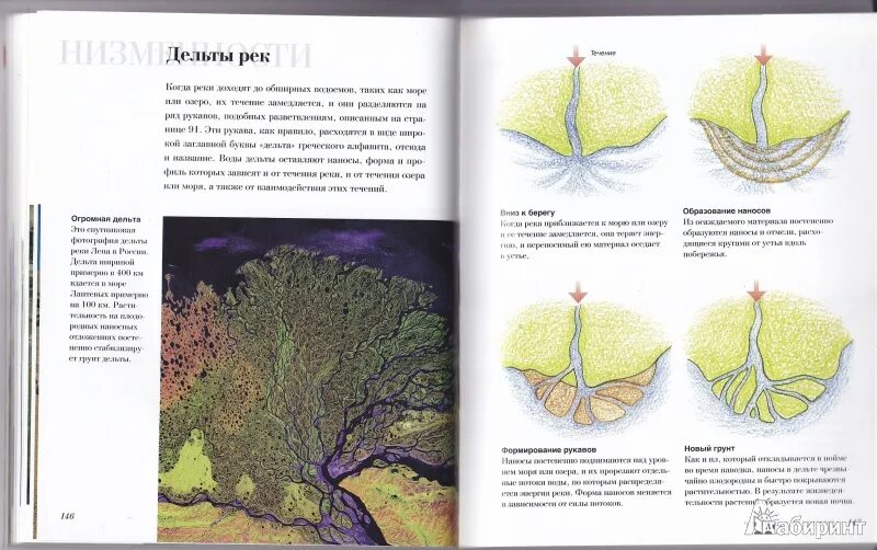 Иллюстрация 10 из 36 для Библия садового дизайна Тим Ньюбери Лабиринт книги.