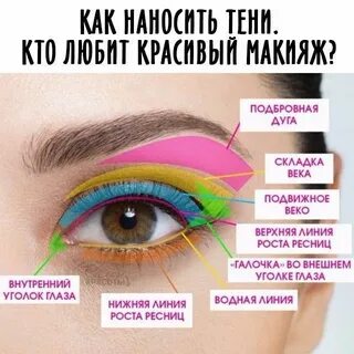 Какое может быть веко