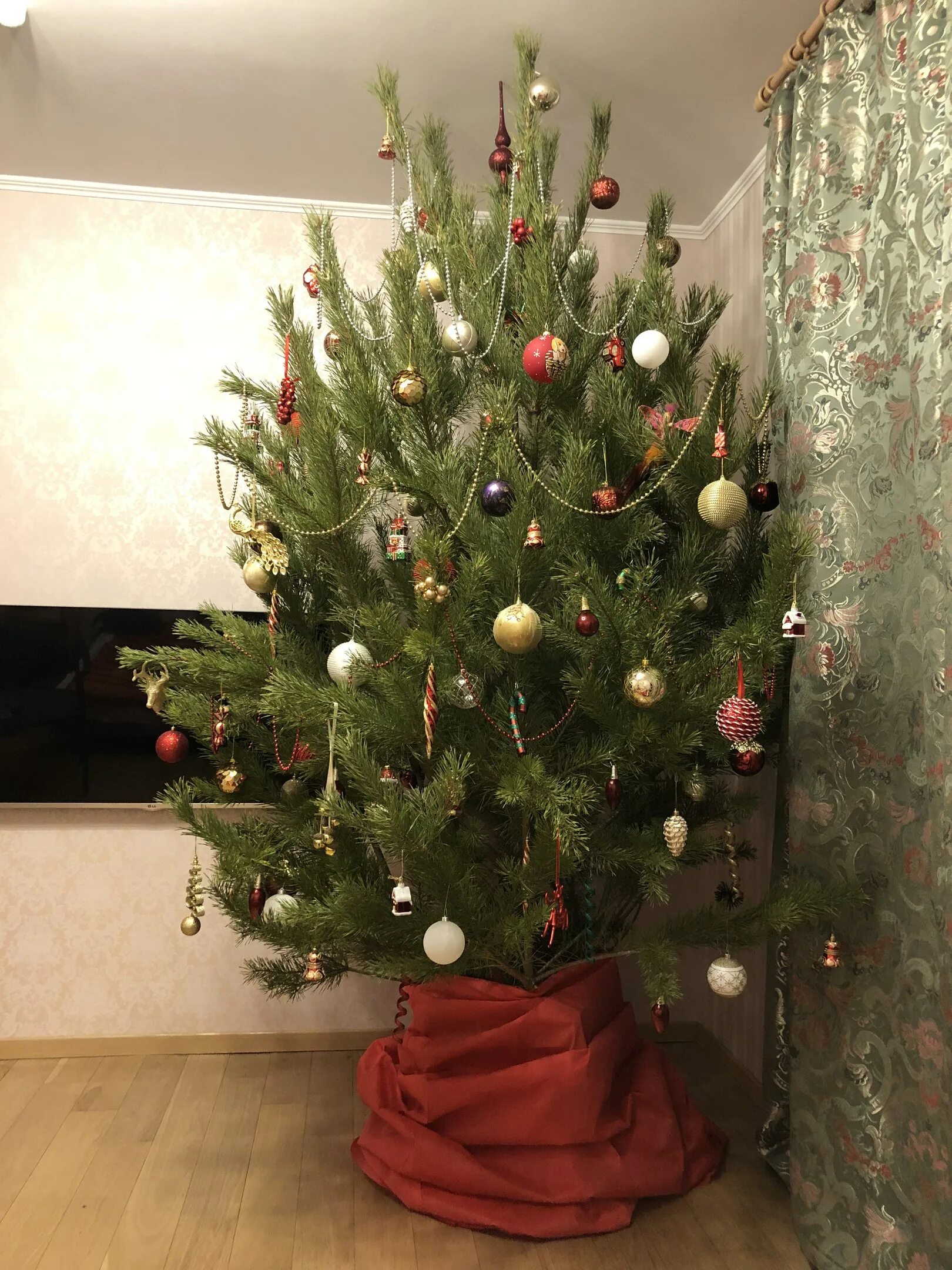 Живая елка наряженная. Нарядить живую сосну. Новогодняя елочка. Живая елка украшенная. Украшаем живую сосну.