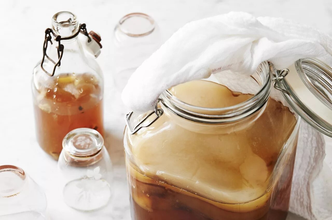 Можно ли чайный гриб при диабете. Kombucha чайный гриб. комбуча гриб. комбуча (чайный гриб) ссср. чайный гриб или комбуча.