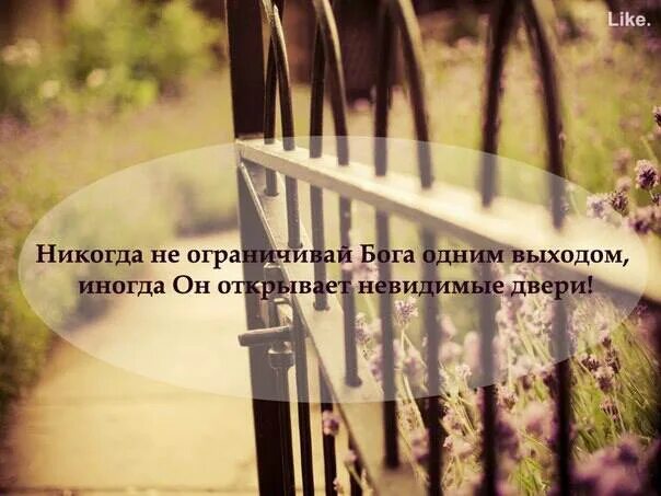 Вязание на спицах для начинающих пошагово набор петель спицами. Открытие невидимой вселенной. Раскрыть невидимый. Мир левенгука микроскоп. Учебники с тяжёлой умственной отсталостью.