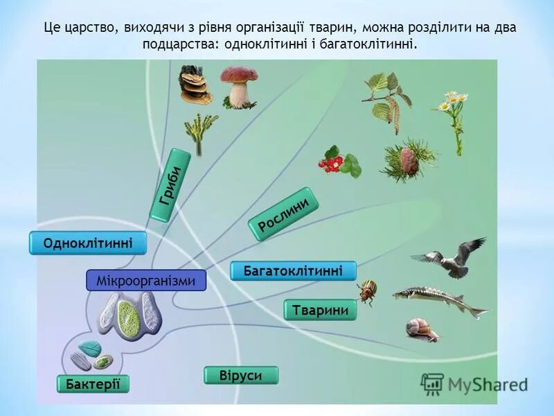 Тема це