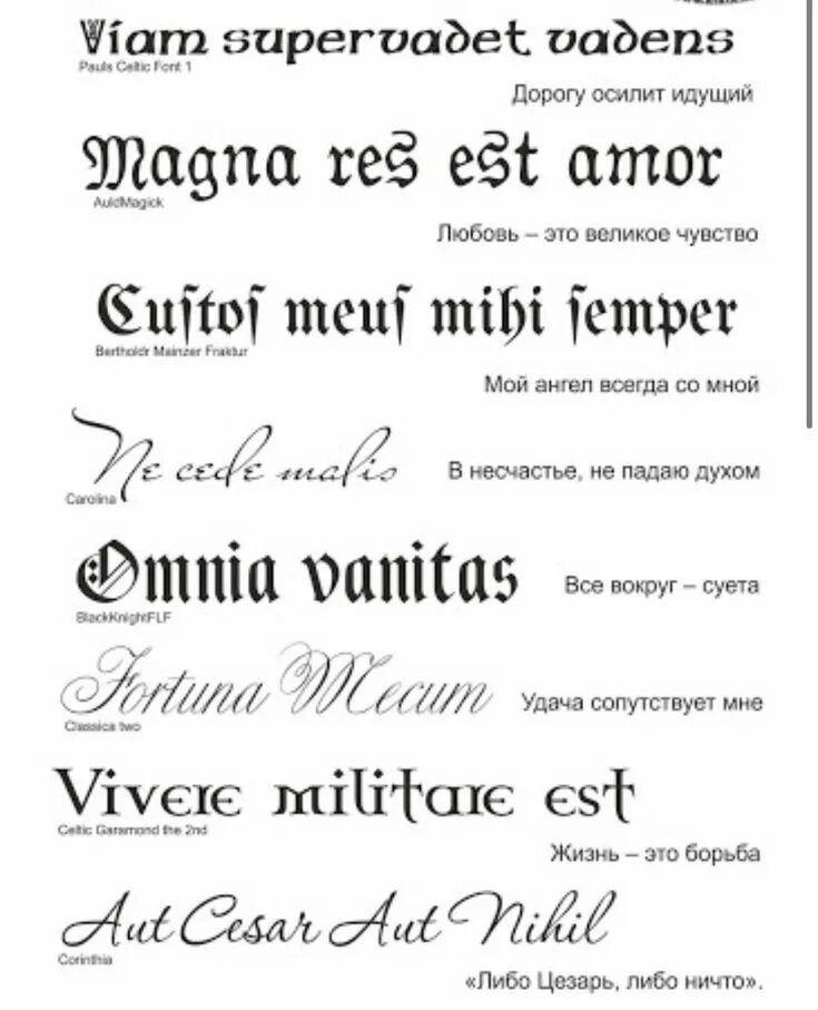 тату текст. красивые фразы для тату. тату текст. набить тату текст. набить тату текст.