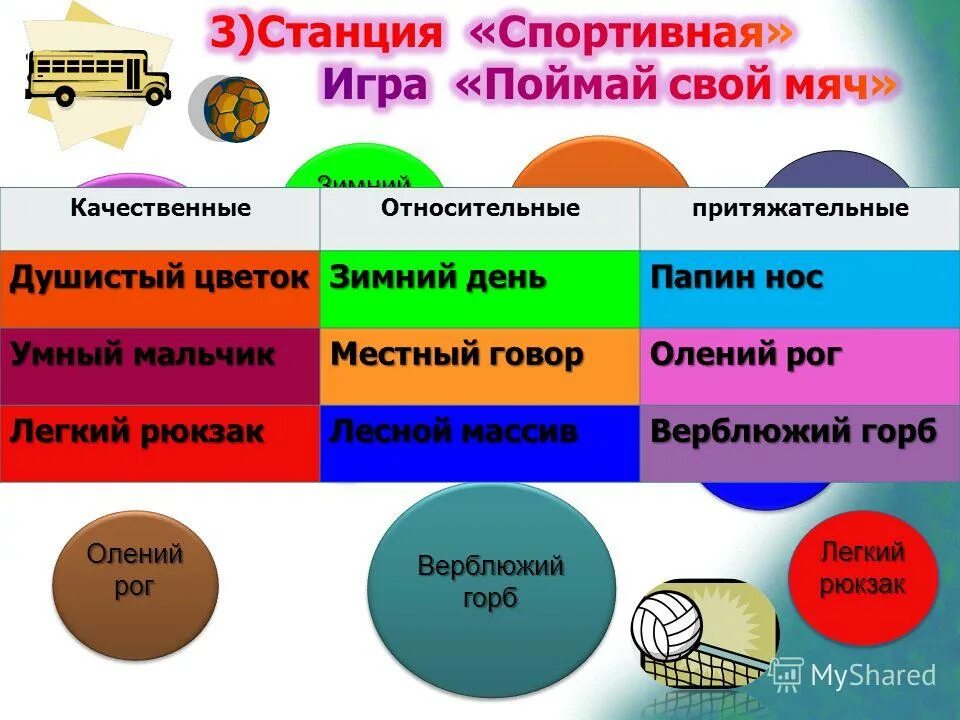 притяжательные прилагат. притяжательные прилагательные. лексико-грамматические разряды имен прилагательных. верблюжий прилагательное. разряды прилагательных задания.