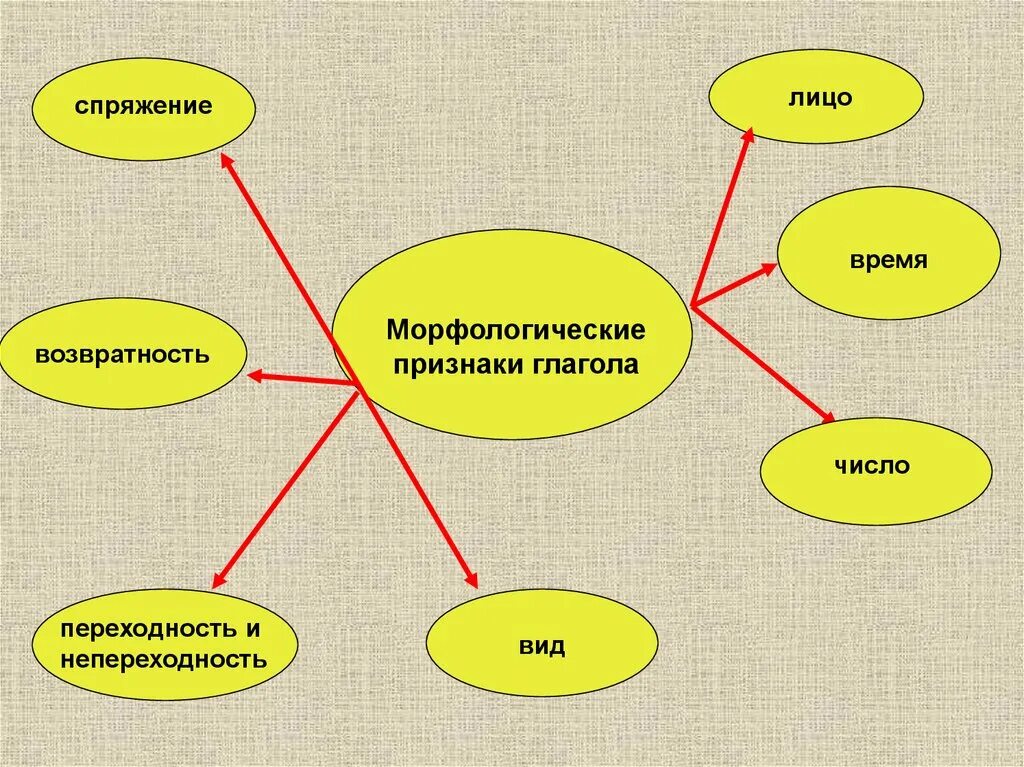 Возвратность глагола 6 класс. Возвратные и невозвратные глаголы примеры. Вид возвратность. Признаки возвратности глагола. Возвратные глаголы и невозвратные глаголы.