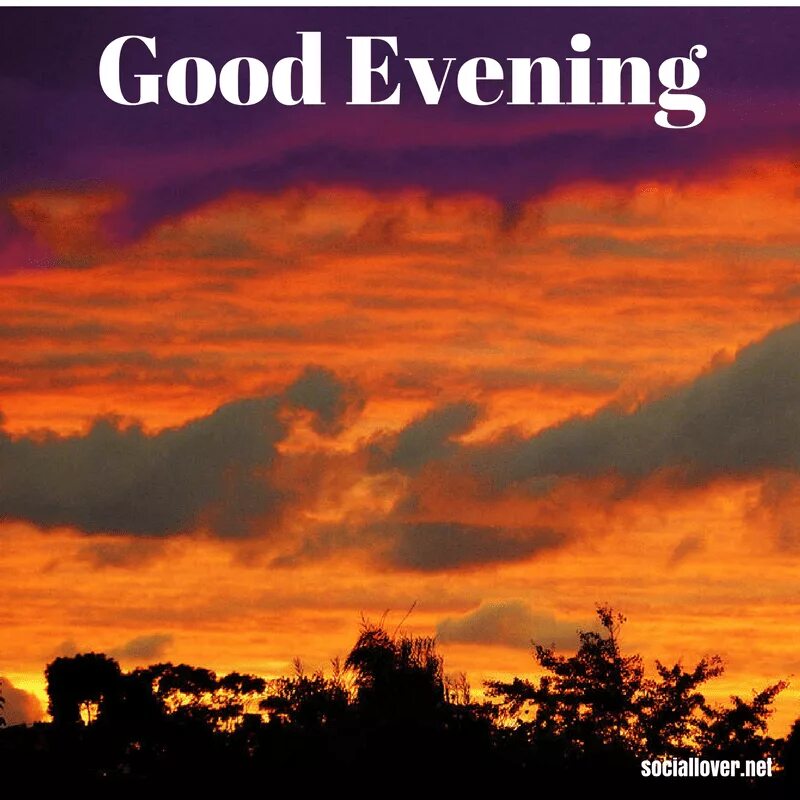 Природа good Evening. Evening перевод. Edp445 "good Evening twitter".