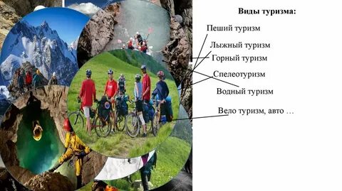 Выбери виды туризма