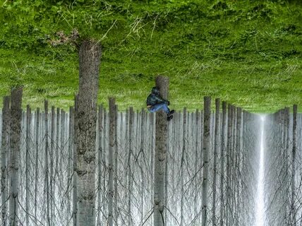 Смешные нелепые истории