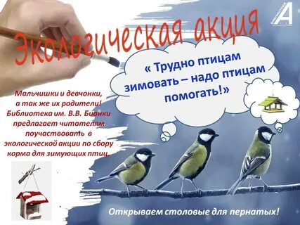 Зимой птицам трудно прокормиться