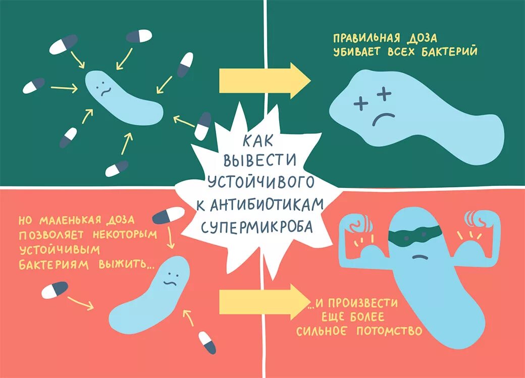 Бактерии устойчивые к антибиотикам. Устойчивость к антибиотикам. Устойчивость микробов к антибиотикам. Резистентность микробов к антибиотикам это.