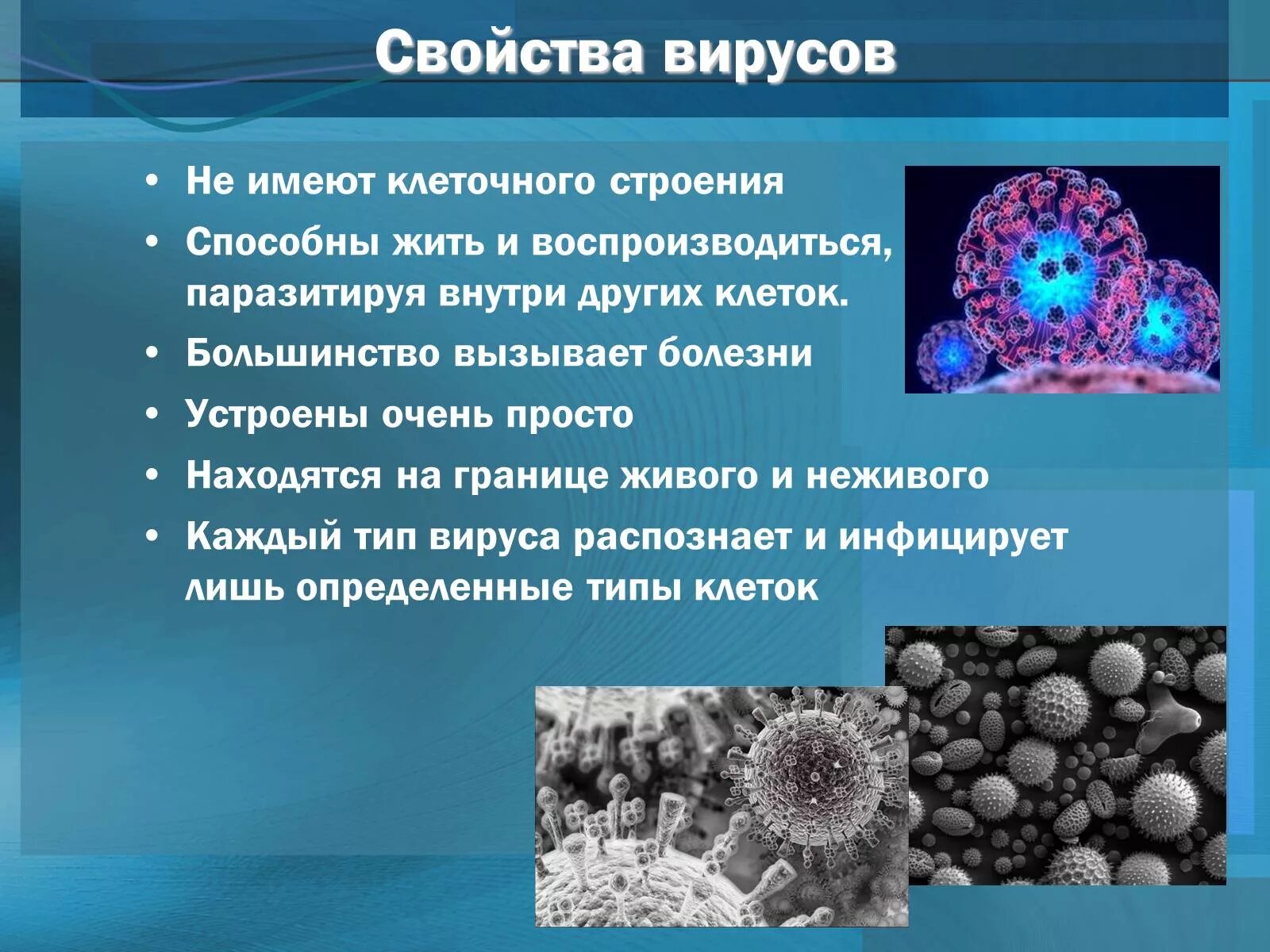 Вирусы доклад. Вирусы по биологии. Сообщение о вирусах. Вирусы по биологии 5 класс. Есть ли вирусы в картинках