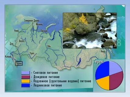 На суше преобладают