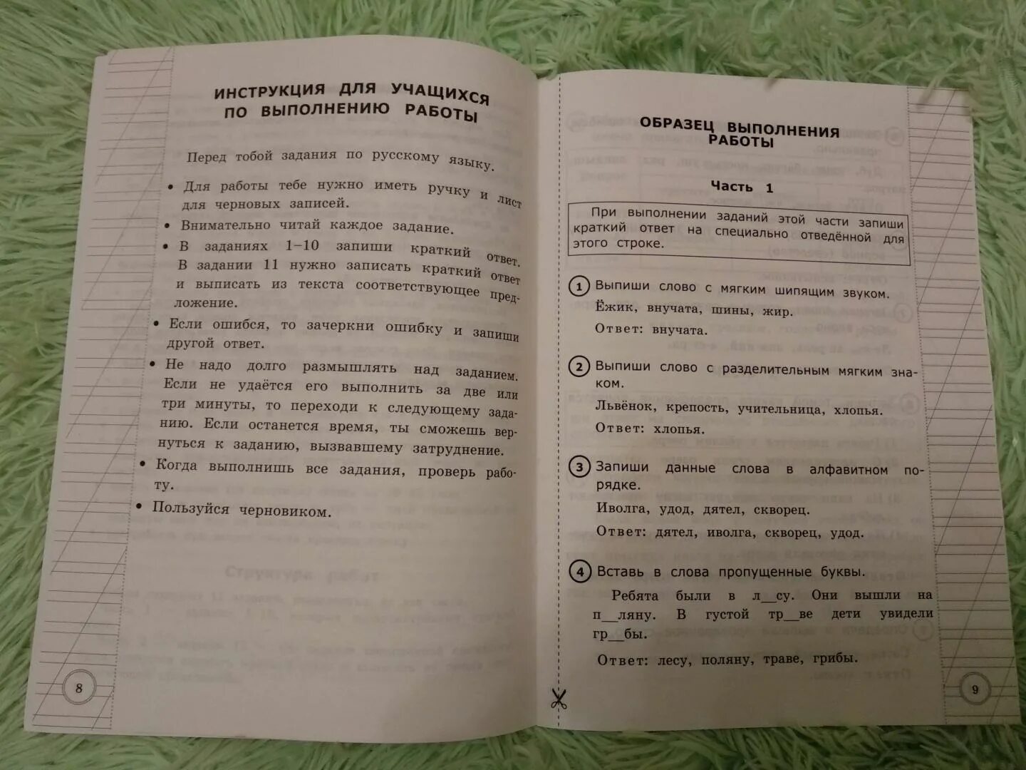 3 класс русский всероссийские проверочные работы. ВПР по русскому языку 2. Задания ВПР русский язык. ВПР по русскому языку 2 класс с ответами. Русский язык 3 класс типовые задания.