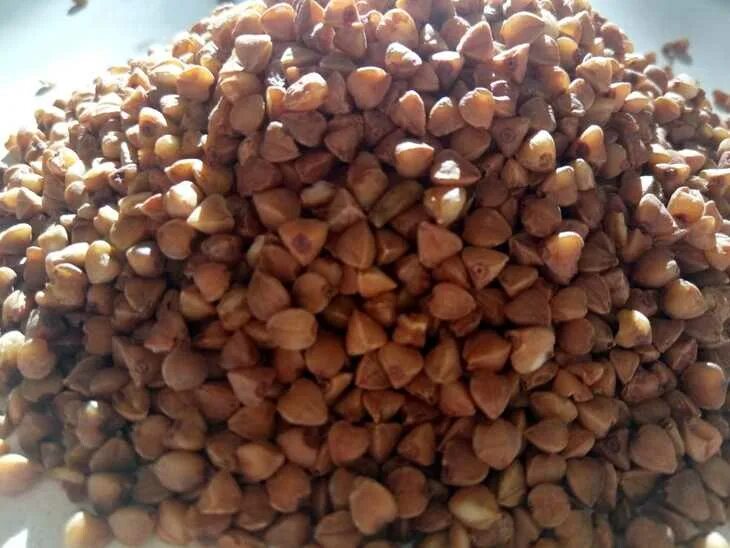 Как прорастить зеленую гречку. Стояние коленями на гречке. Гречка в руках. Рассыпчатая гречка в мультиварке. Ставить на гречку.