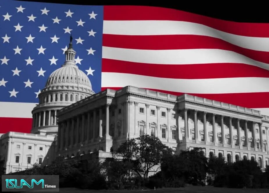 American government. Белый дом и Капитолий в Вашингтоне. Белый дом США флаг. Капитолий Вашингтон флаг США. Белый дом Вашингтон с флагами.