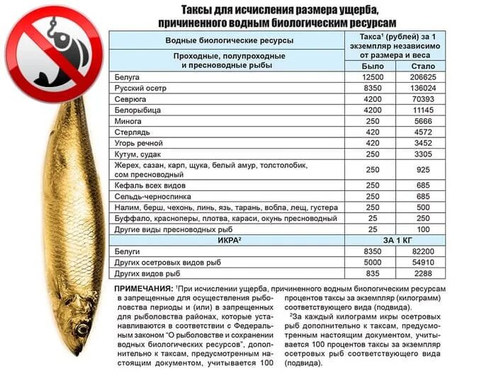 памятка рыбака. таблица норма вылова и размеры допустимых рыб. правила рыболовства. какие правила рыболовства. правила рыбной ловли.