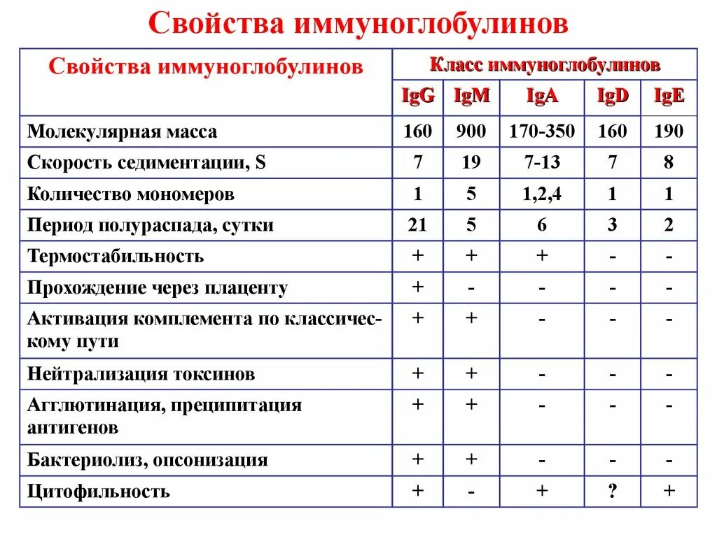 Классификация иммуноглобулинов. Функции иммуноглобулинов таблица. Охарактеризуйте основные классы иммуноглобулинов. Функции различных классов иммуноглобулинов. Типы иммуноглобулинов и их функции.