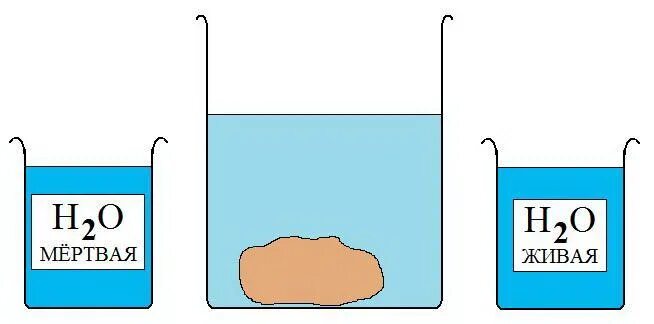 Выталкивающая сила в пресной и соленой воде. Живая вода и мертвая вода эксперимент. Эксперимент Живая и мертвая вода Архимедова сила. Опыты с мертвой и живой водой. Опыт Живая вода.