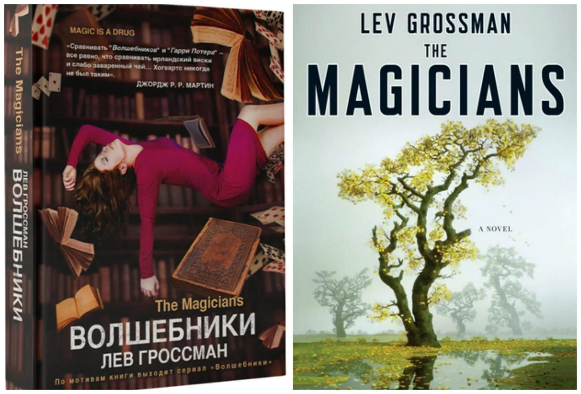 Книга волшебники лев гроссман. Лев гроссман книги. Гроссман король волшебников. The magicians book. Книга волшебники лев гроссман.