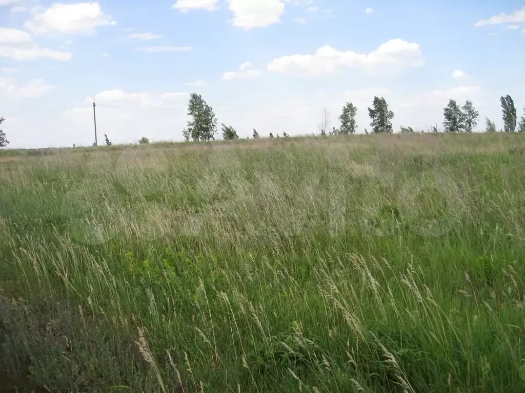 Погода в скляево воронежская область