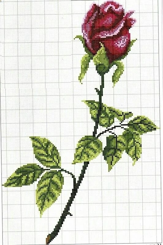 Pin by Feyzanur Kolcu Metin on kanaviçe örneklerim Cross stitch flowers, Cross s