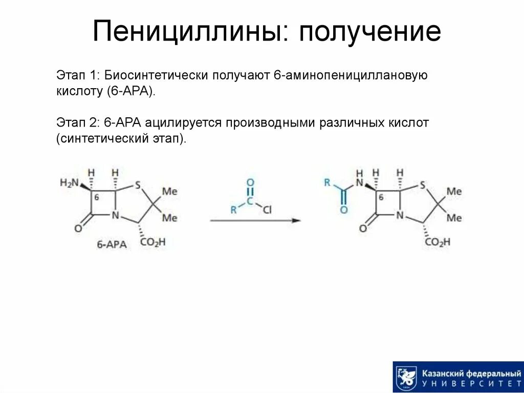 Пенициллин строение антибиотика. Получение полусинтетических антибиотиков группы пенициллинов. Формула пенициллина антибиотика. Полусинтетические пенициллины формула. Получение пенициллина