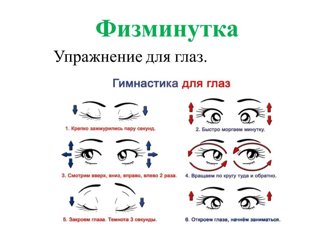 Гимнастика для глаз во время занятия