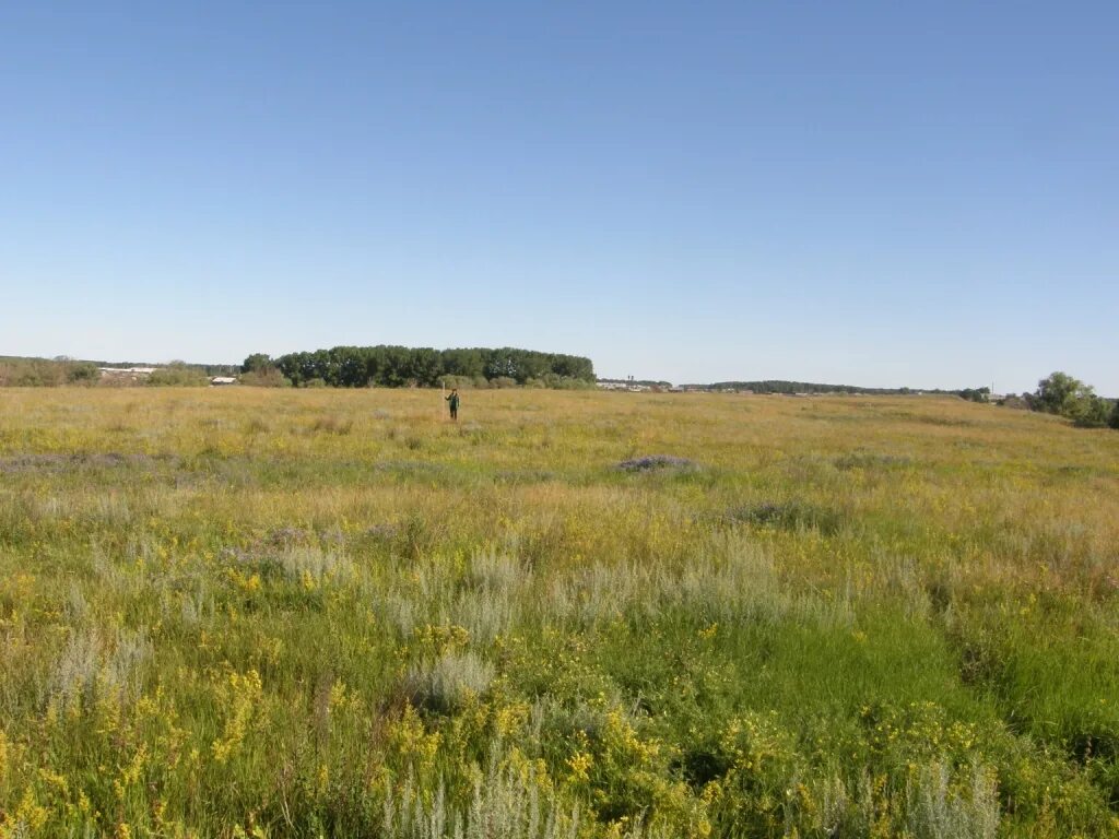 погода городище новосибирская область