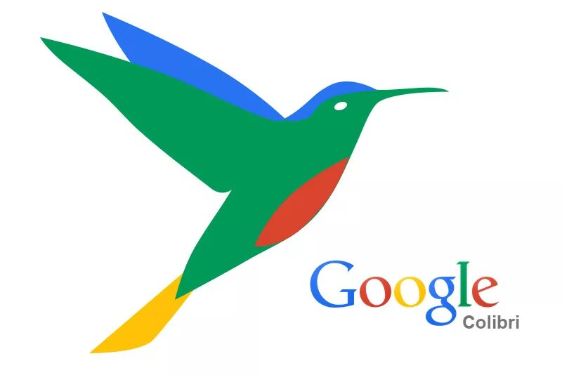 Colibri clean. Алгоритм Колибри. Google Hummingbird. Вектор Колибри гугл. Google algorithm.
