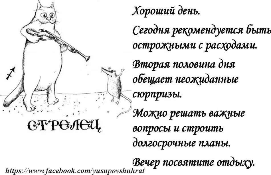 Кот стрелец гороскоп. Вася ложкин стрелец. Знаки зодиака смешные стрелец. Котя воители знаки зодиака. Кот стрелец гороскоп.