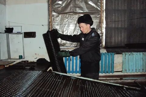 Ик забайкальский край