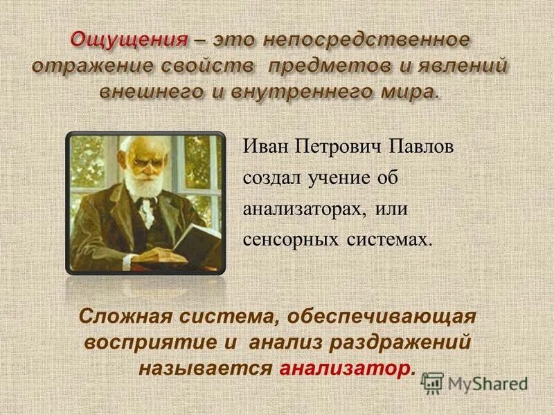 Система обеспечивающая анализ раздражений называется. Система обеспечивающая анализ раздражений называется