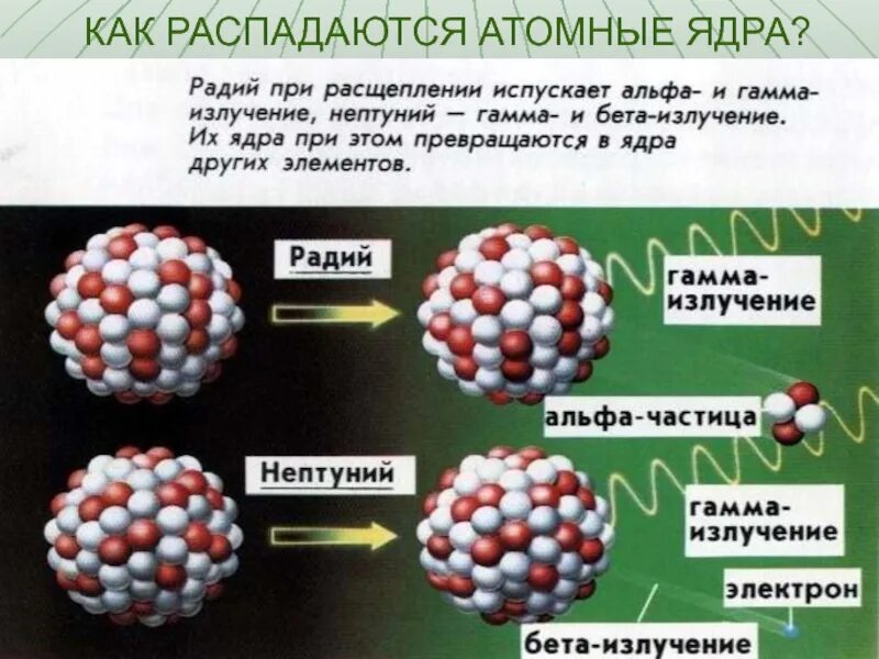 Альфа бета гамма распад. Альфа бета гамма распад физика 9 класс. Распад атомного ядра. Радиоактивный распад атома. Бета распад нептуния