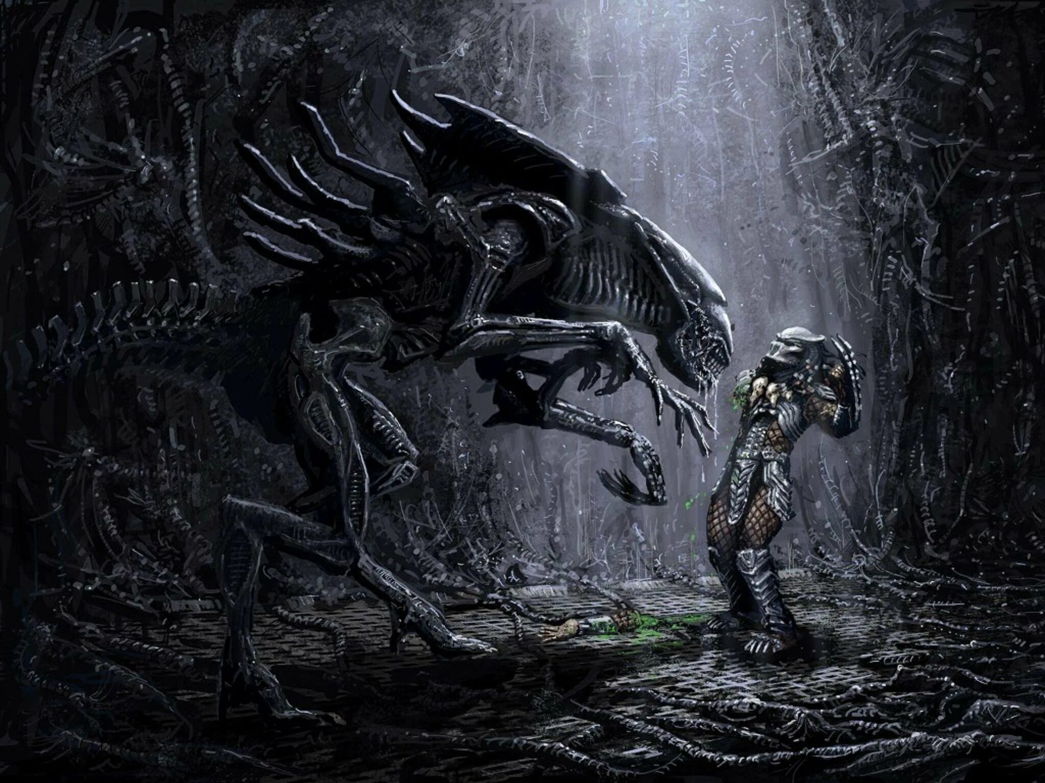 Aliens vs Predator чужой. Хищник против хищника. Ксеноморф против хищника. Рассказы про чужого