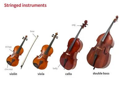 String instruments