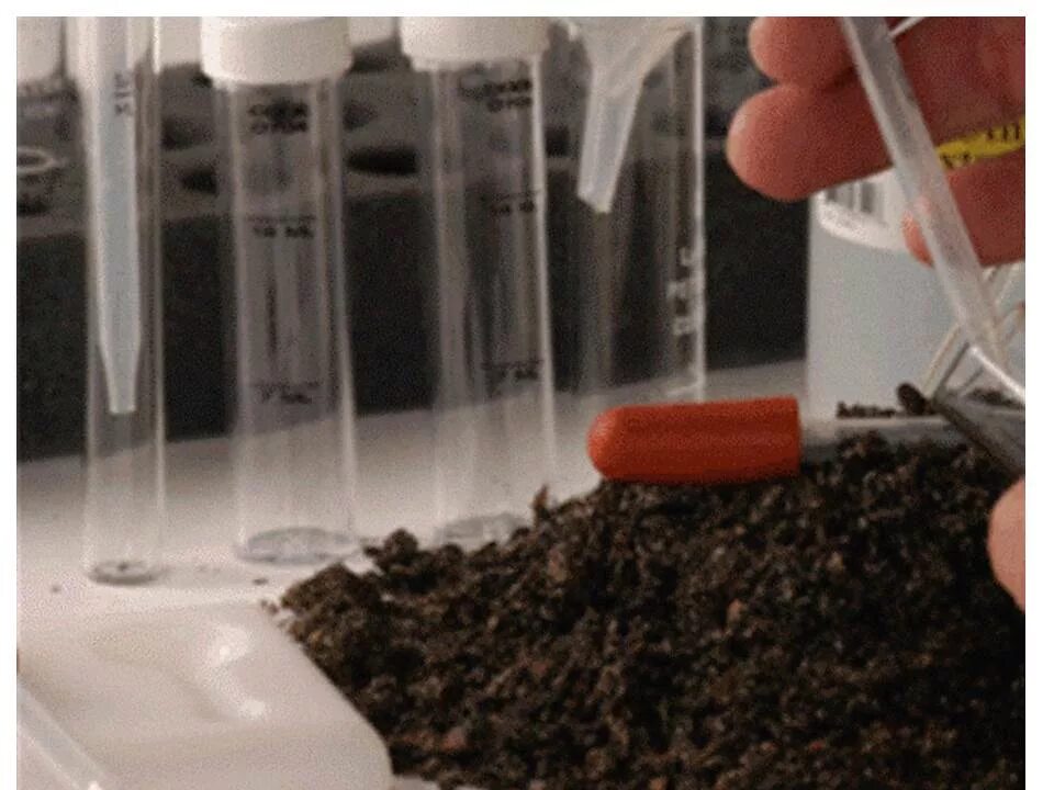 Проба песка. Санитарно-бактериологическое исследование почвы. Санитарно-микробиологическое исследование почвы. Лабораторные исследования почвы. Микробиологическое исследование почвы.