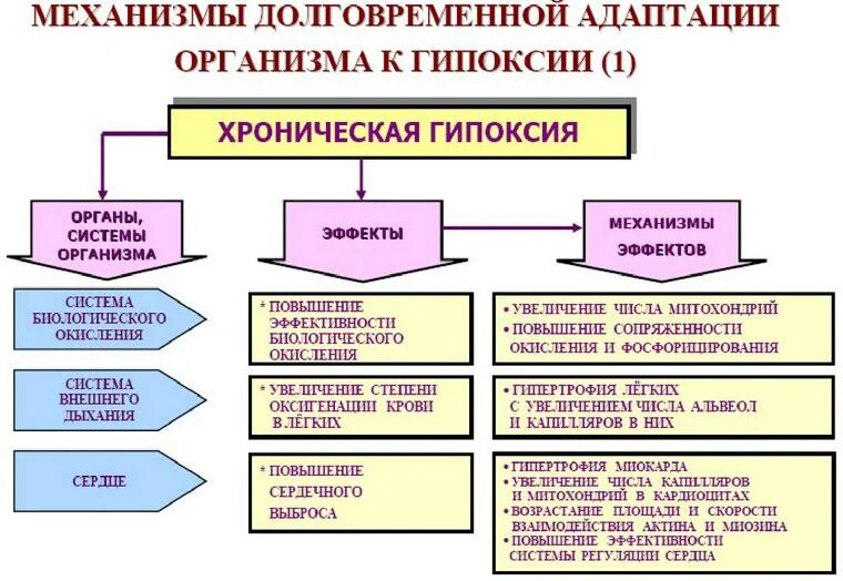 Гипоксия как распознать