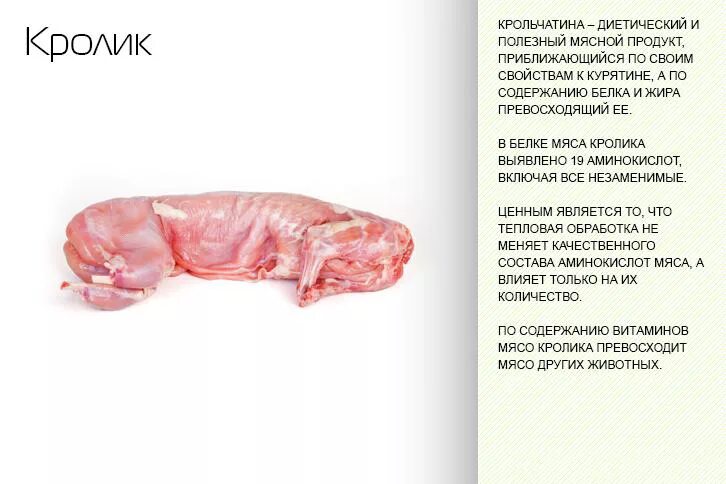 Полезные качества мяса крольчатина. Можно ли кролику кушать