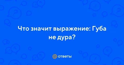 Губа не дура