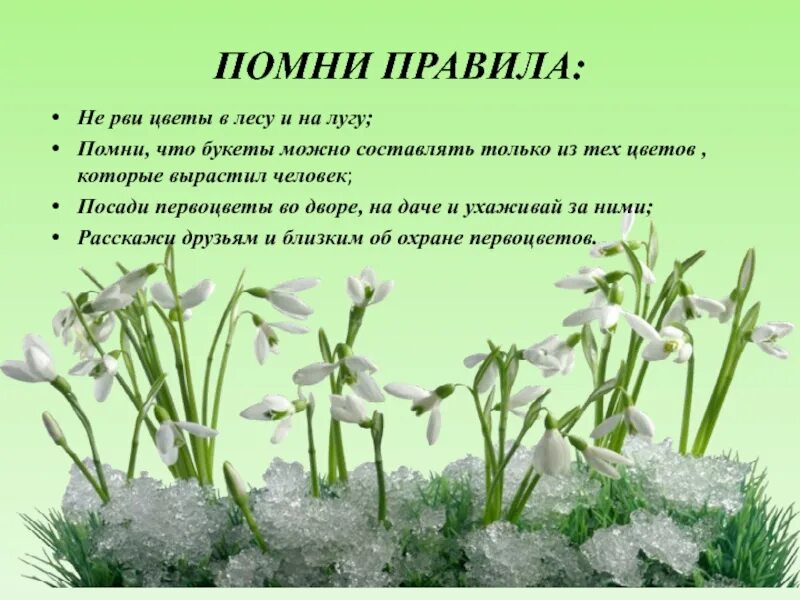Юный апрель