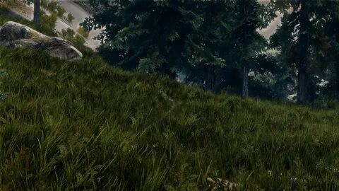 Skyrim plants
