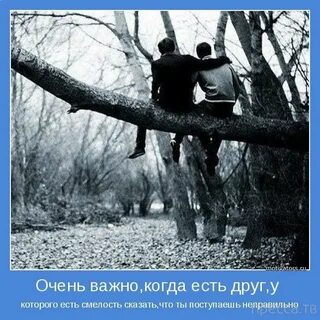 Грустный брат
