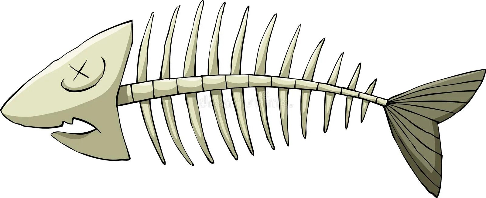 Кости рыбы собаке. Скелет рыбы. Мультяшный скелет рыбы. Мультяшные кости рыбы. Скелет рыбы на белом фоне.