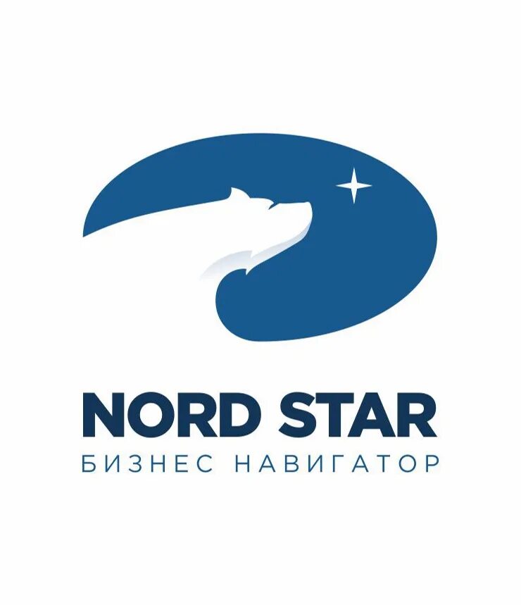 Еду норд. Нордстар логотип. NORDSTAR авиакомпания логотип. Логотип Nord Star авиакомпания. Логотип Нордстар новый.