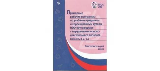 Вариант 4.3 ФГОС НОО. Комплект примерных рабочих программ для 1 класса ФГОС ОВЗ. Вариант ФГОС образования обучающихся с умственной отсталостью. Программа ФГОС для детей с умственной отсталостью.